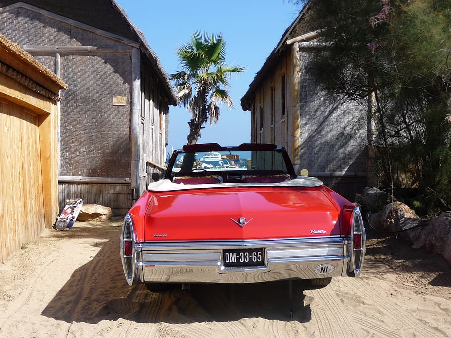 red Cadillac convertible parked beside tree, st tropez, auto HD wallpaper