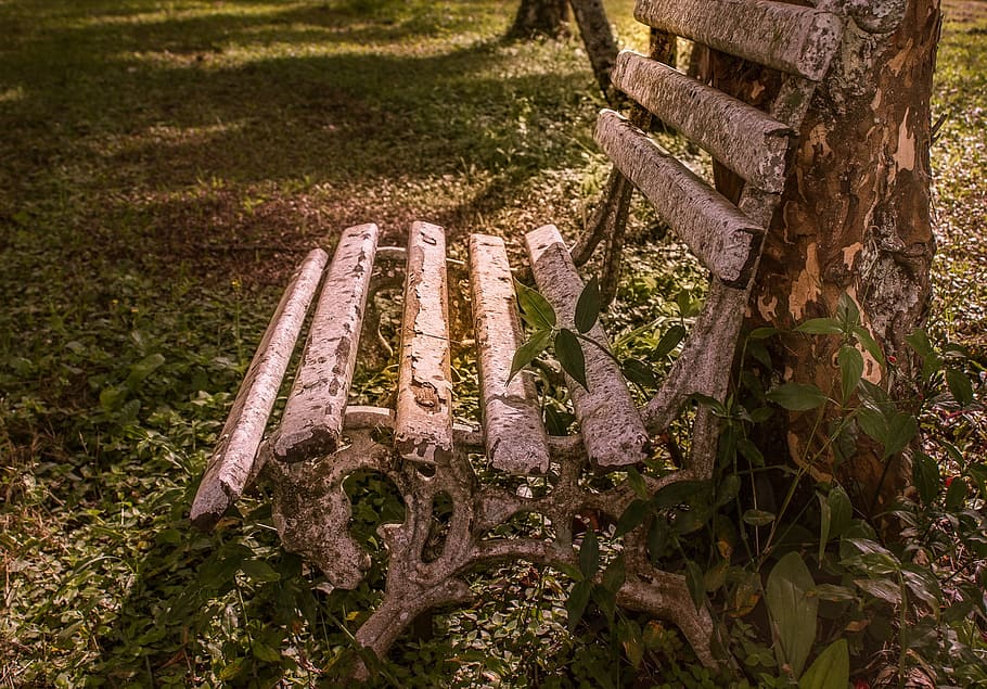 bank, rest, tranquility, farm, landscape, nature brazil, plant HD wallpaper