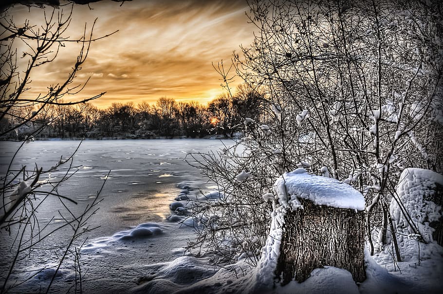 photo of frozen lake during golden hour, snow, covered, trees HD wallpaper