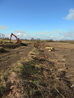 tree felling, jcb, construction, industry, vehicle, digger HD wallpaper