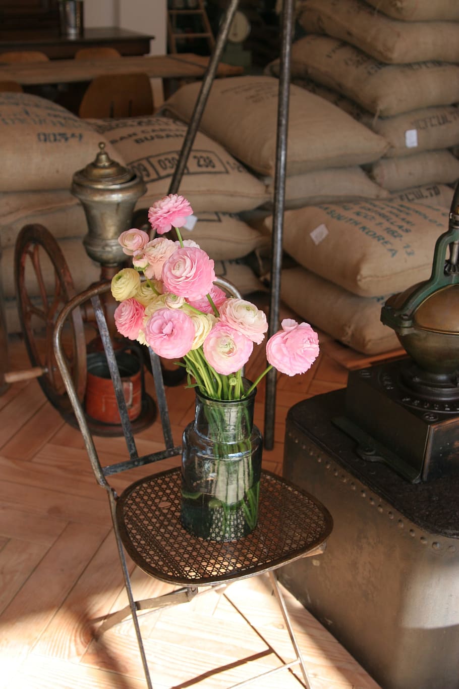 spring, flowers, pink, pink flower, comfort, break, vase, flowering plant, HD wallpaper