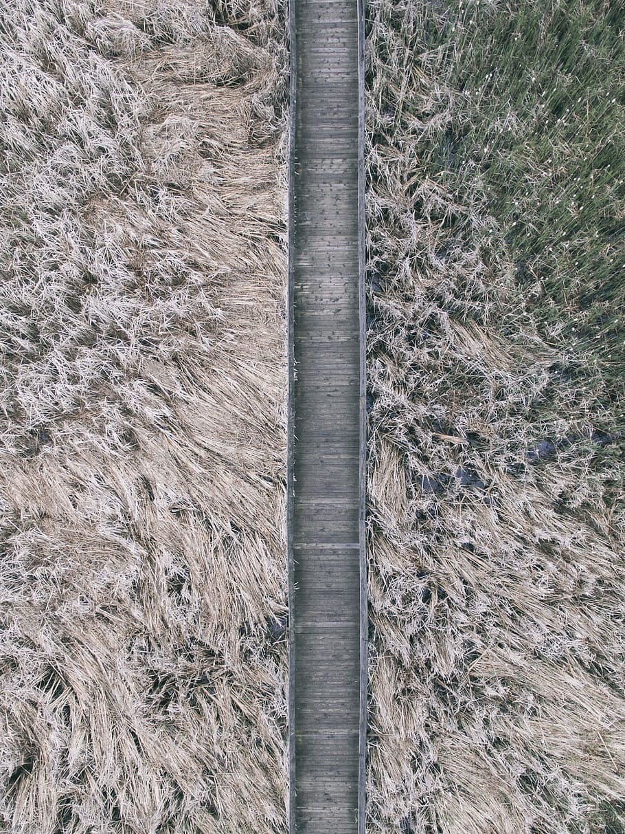 bird's-eye view photography of bridge, aerial photo of brown wooden hallway near brown withered plants at daytime HD wallpaper