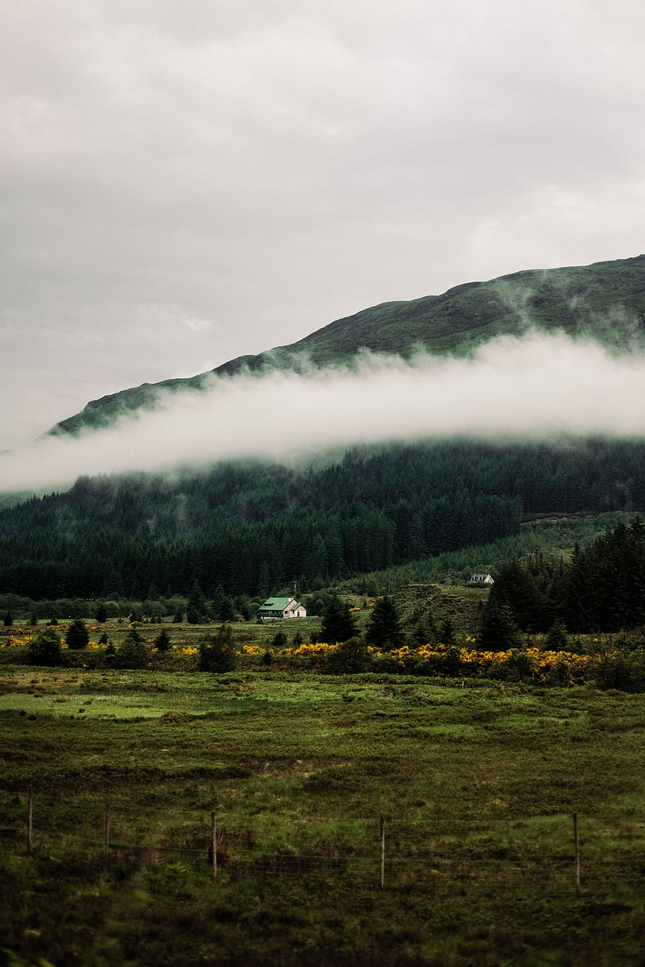 house surrounded by trees during daytime, landscape photography of clouds and mountains HD wallpaper