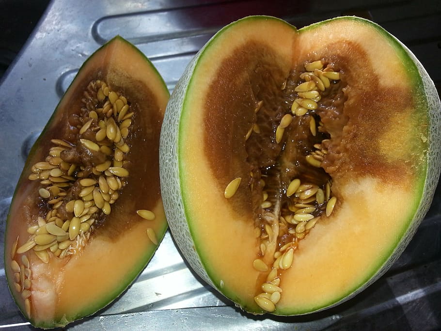 fruit, rotten, melon, food and drink, healthy eating, freshness HD wallpaper