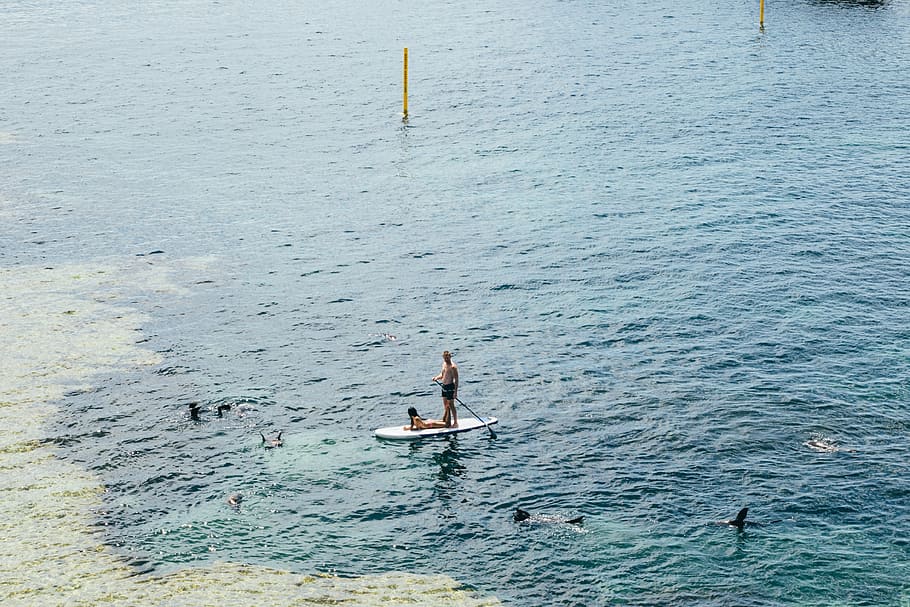 man standing on paddleboard, paddle boarding, sup, stand up, water