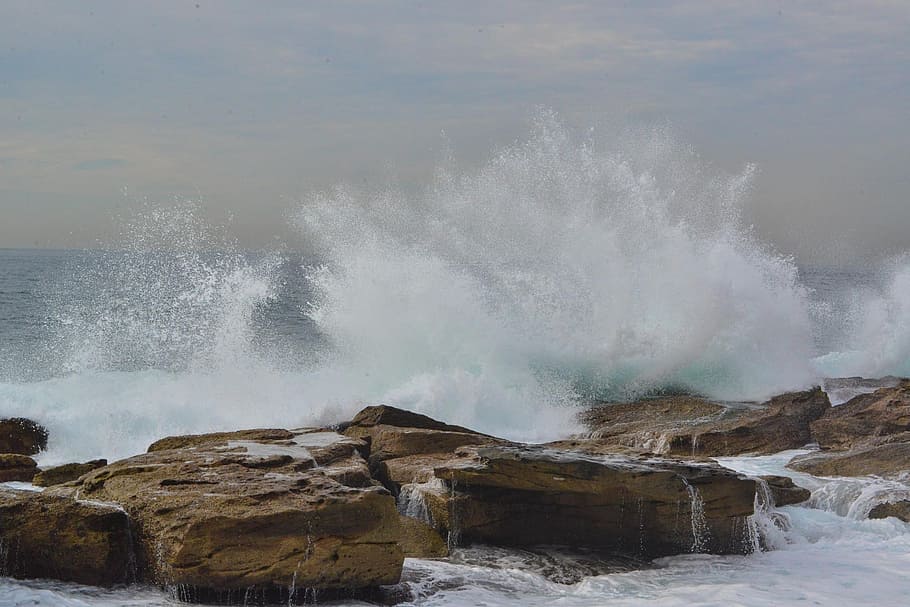 waves of water splashed on rock, coogee, sydney, australia HD wallpaper