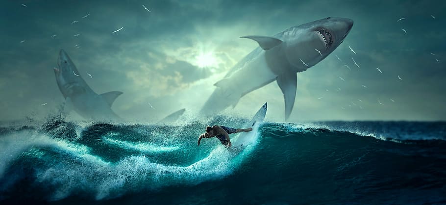 man riding surfboard with shark illustration, fantasy, hai, surfer, HD wallpaper