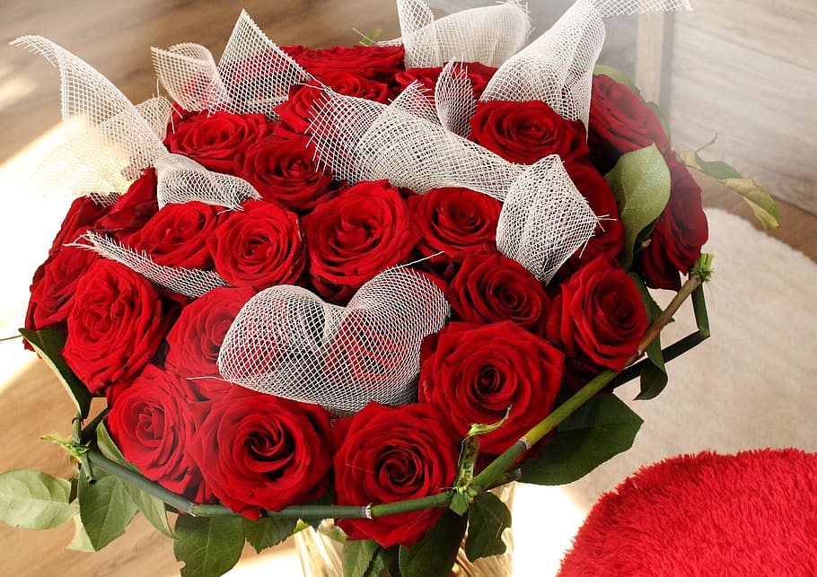 red rose flower bouquet, foliage, amorousness, passion, love HD wallpaper
