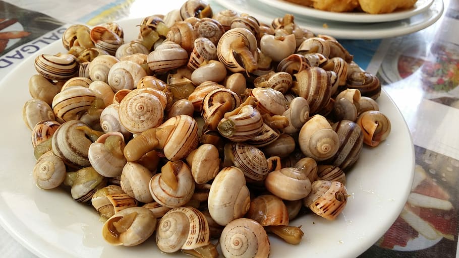 snails, stew, food, food and drink, freshness, wellbeing, close-up HD wallpaper
