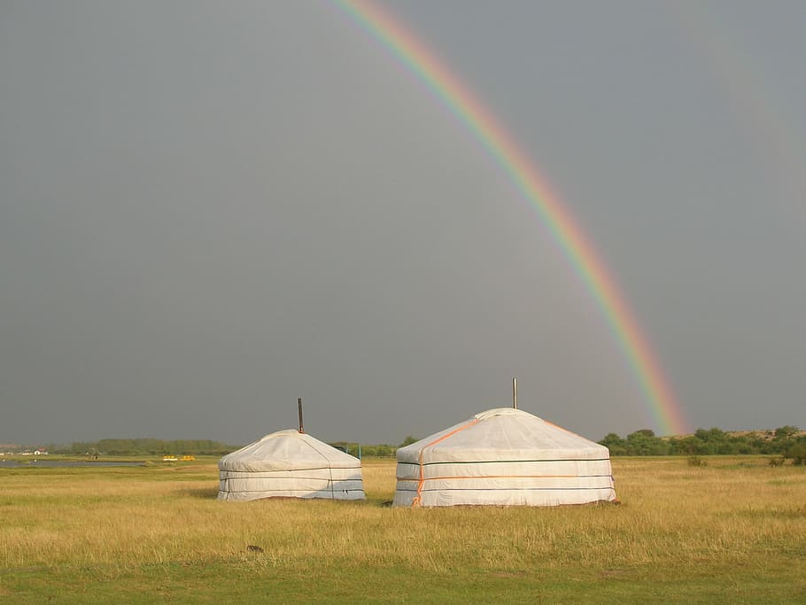 mongolia, rainbow, tents, beauty in nature, land, field, plant HD wallpaper