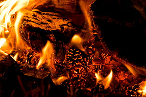 burning pinecones, fire, flame, ember, orange, wood, heat, warmth HD wallpaper