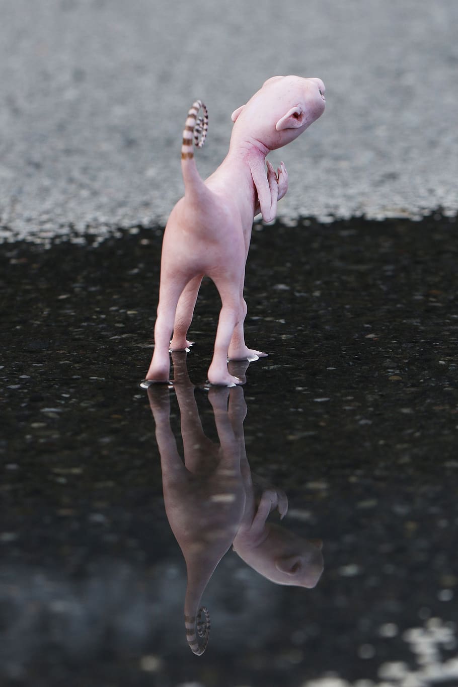 figurine, toy, figure, reflection, small, water, real people HD wallpaper