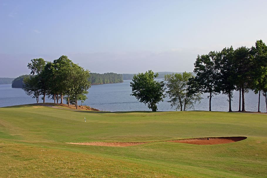trees beside body of water, Golf, Green, Golf Course, Grass HD wallpaper