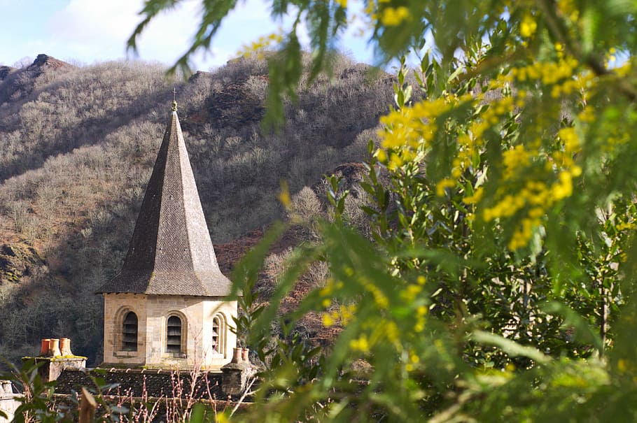 conques, mimosas, flower, yellow, medieval, village, abbey HD wallpaper