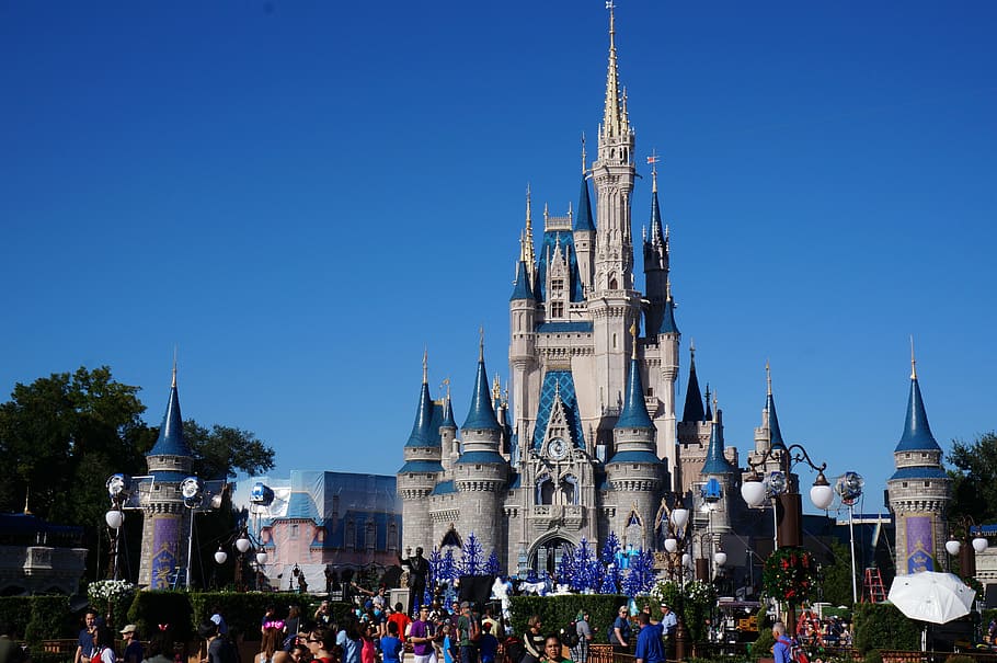 HD wallpaper: Disney Castle, walt disney world, cinderella's castle, magic  kingdom | Wallpaper Flare