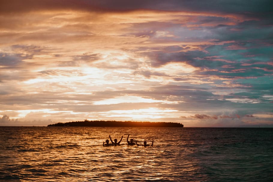 silhouette of people swimming on beach during golden hour, silhouette photo of group of persons raising their hand while floating on body of water HD wallpaper