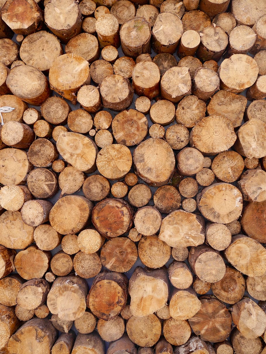 wood, logs, stack, timber, large group of objects, lumber industry HD wallpaper