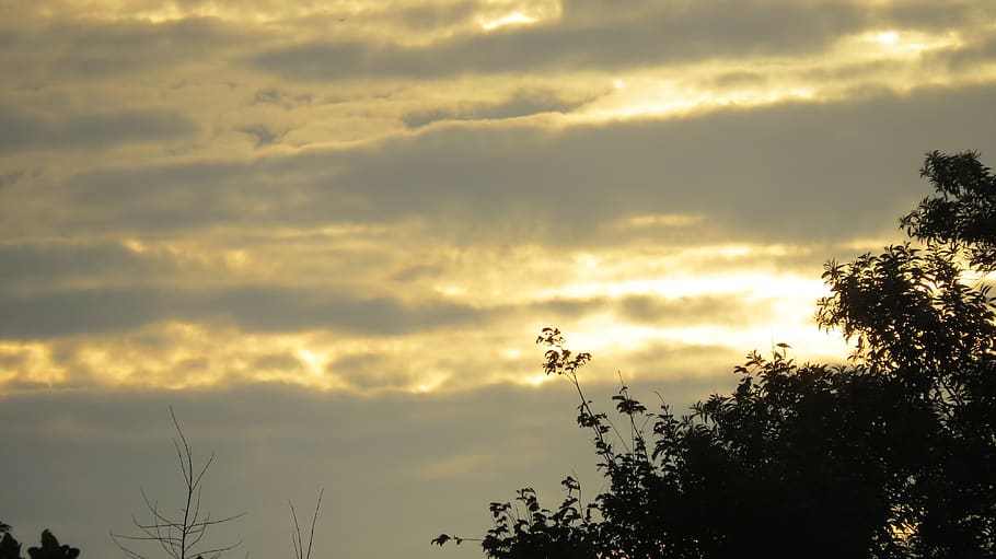 sol, born sun, cloud, dawn, morning, sky, cloud - sky, plant HD wallpaper
