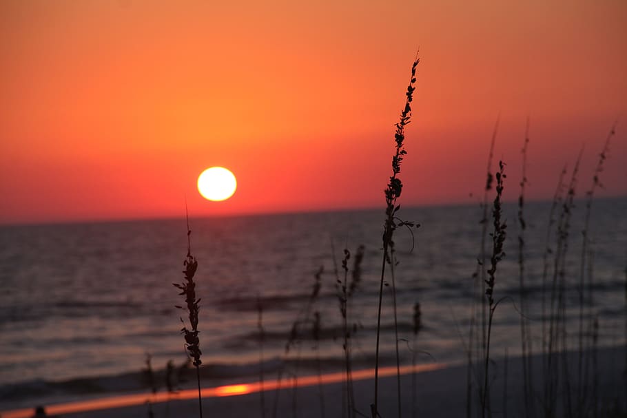 sunset, beach, sky, water, dusk, evening, beach sunset, ocean HD wallpaper