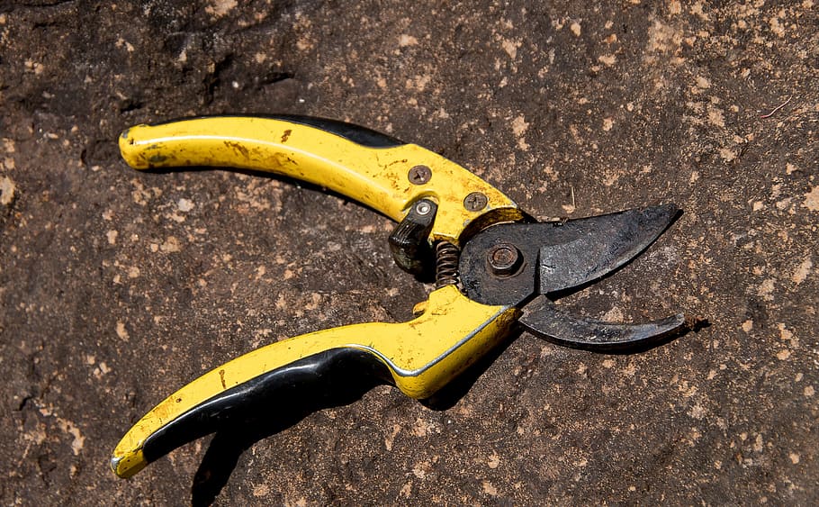 secateurs, tool, pruning, cutting, garden, equipment, scissors, HD wallpaper