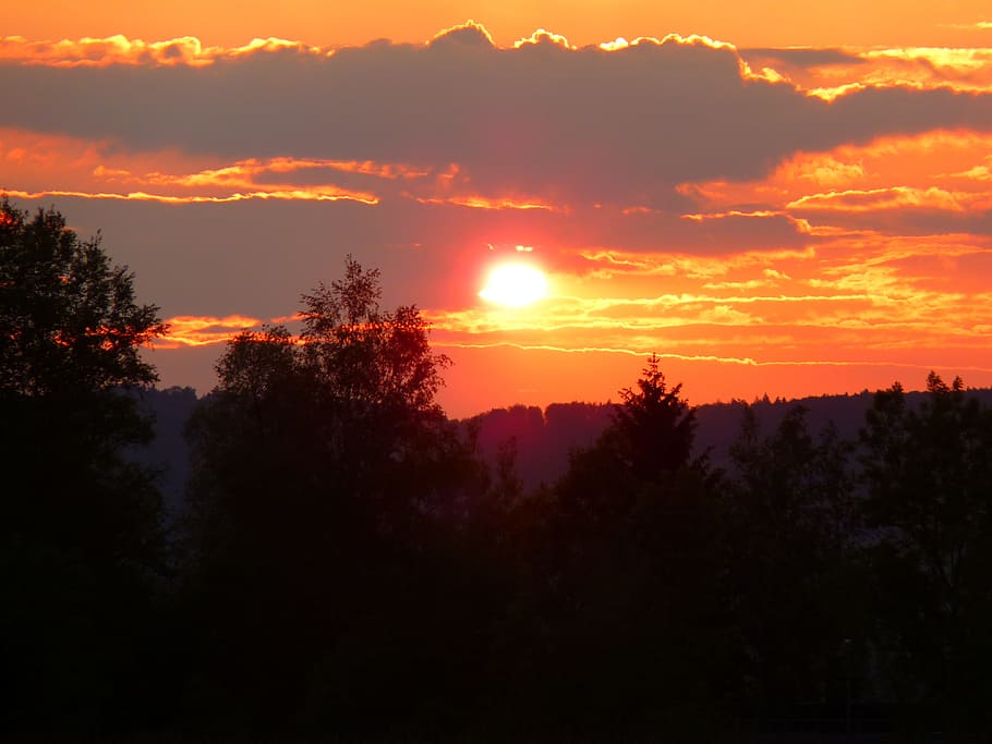 Sunset, Romance, abendstimmung, sky, tree, silhouette, scenics HD wallpaper