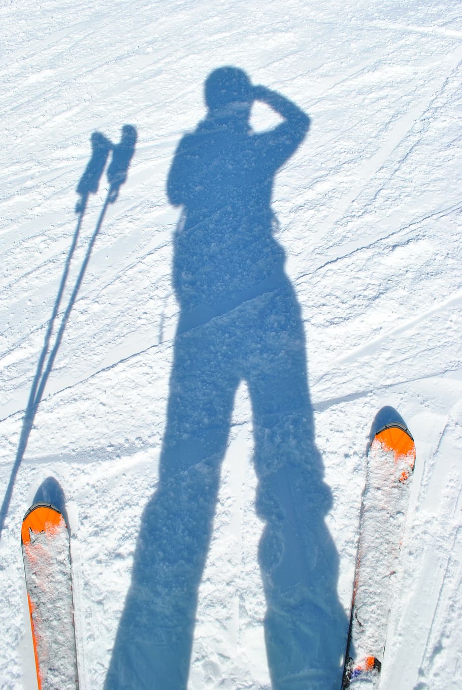 silhouette of person riding on ski blades, skiing, skiers, shadow HD wallpaper