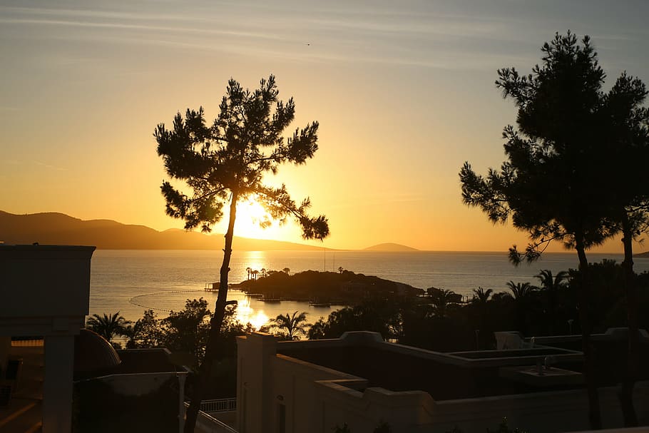 sunset, palm trees, nature, island, abendstimmung, sea, holiday HD wallpaper