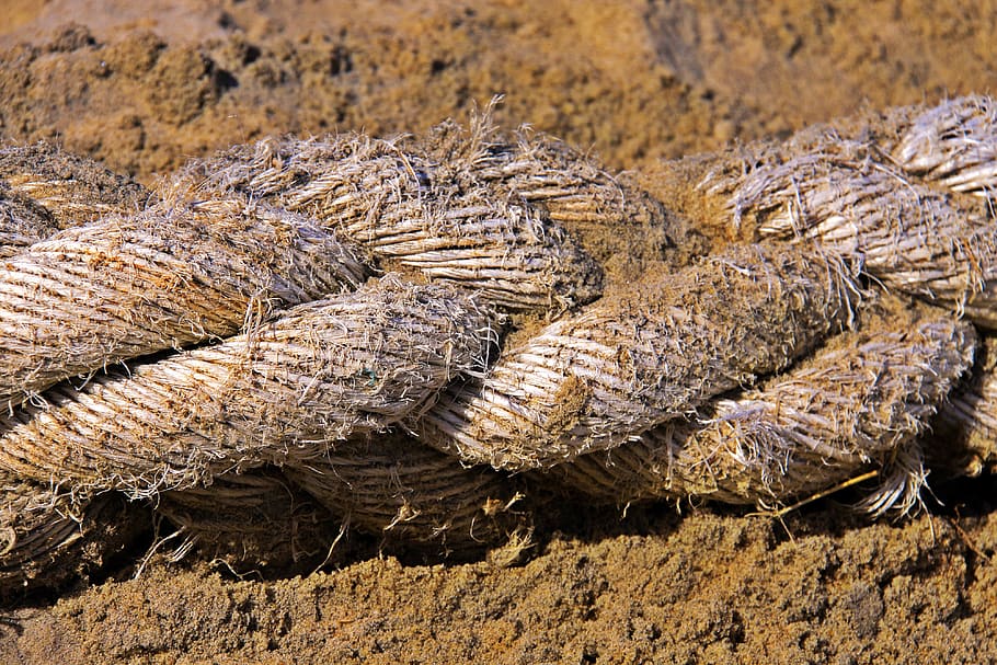 rope, beach, node, beira mar, sand, no people, nature, close-up HD wallpaper