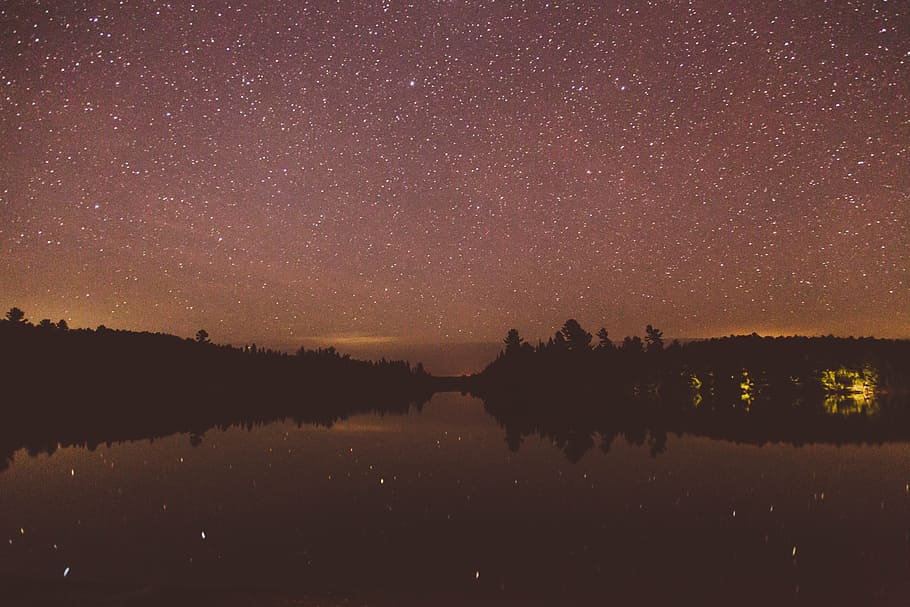 body of water photo, silhouette of trees under starry sky during nighttime HD wallpaper
