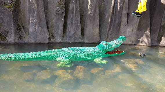 legoland, denmark, summer, water, animal, animal themes, animal wildlife HD wallpaper
