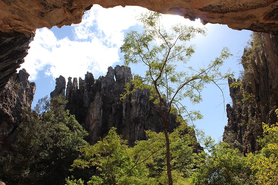 nature, trip, rock, tree, plant, sky, beauty in nature, low angle view HD wallpaper