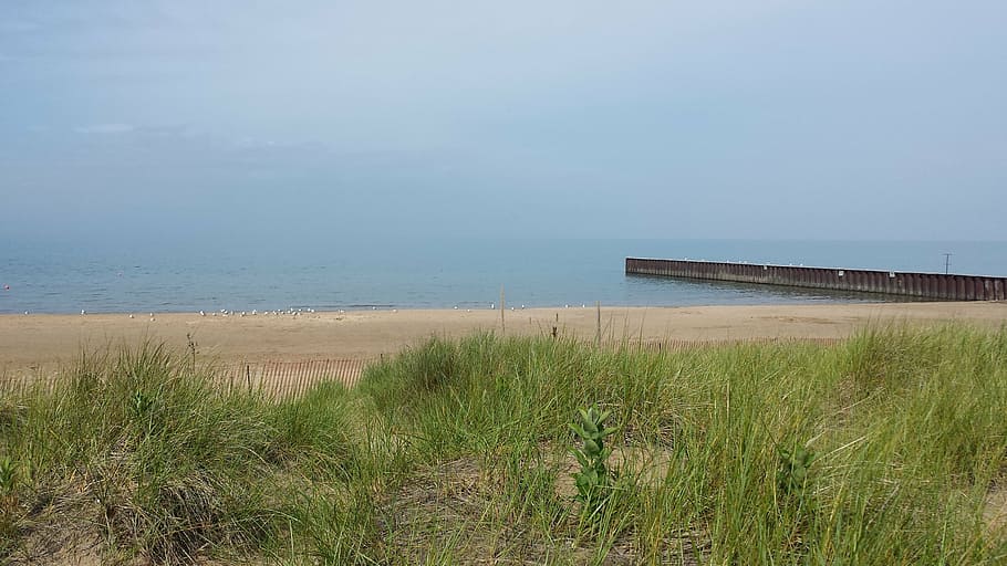 lake, sea, beach, dock, grass, sand, water, landscape, nature HD wallpaper