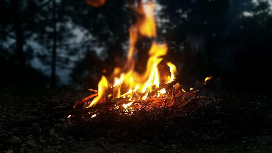 fire photo, outdoors, nature, flame, forest, campfire, wood HD wallpaper