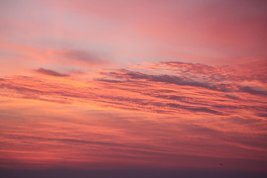 sky, sunset, evening, beach, cloud - sky, beauty in nature HD wallpaper