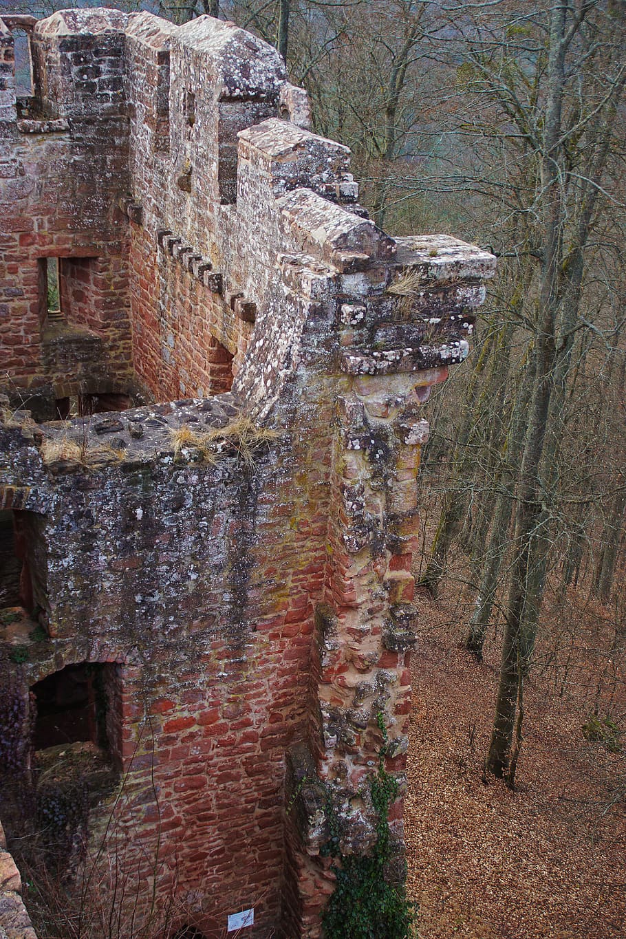 ruin, castle, fortification, sandstone, france, pierre, history HD wallpaper