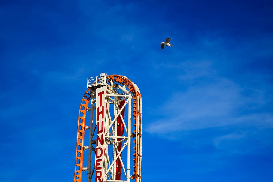 Winter in Coney Island, bird flying on roller coaster track, structure HD wallpaper
