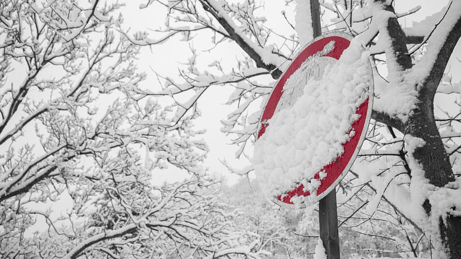 Road Signage Covered With Snow, branches, cold, zing, frost, frosty HD wallpaper
