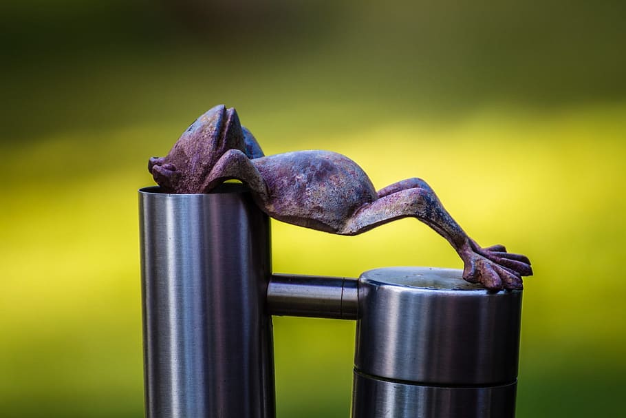 Frog, Relax, Rest, concerns, relaxed, serenity, break, healthy eating HD wallpaper