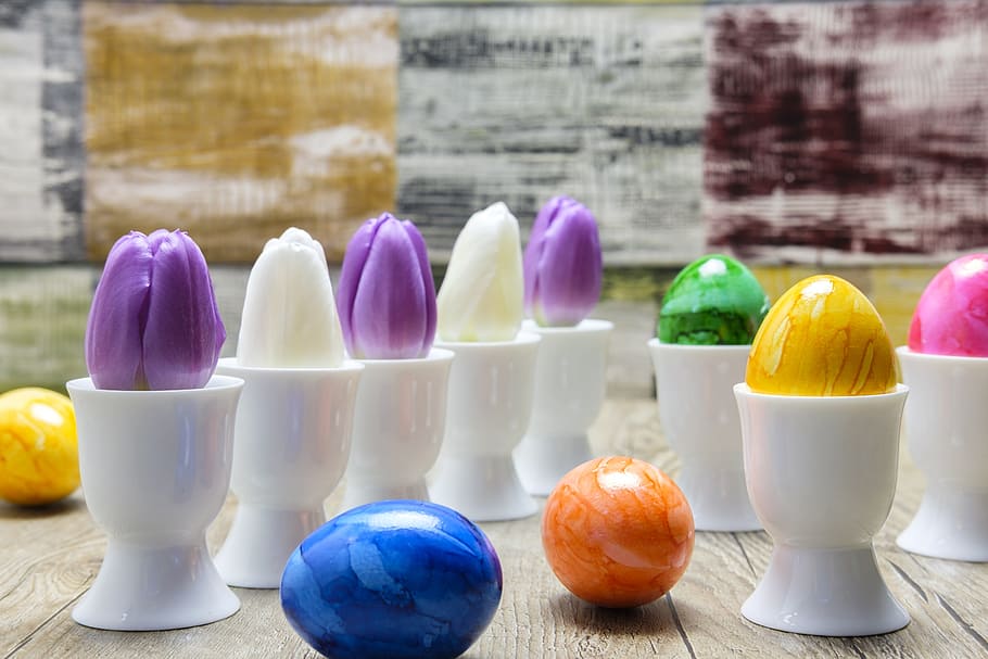 egg, easter eggs, colorful eggs, tulips, flowers, spring, egg cups HD wallpaper