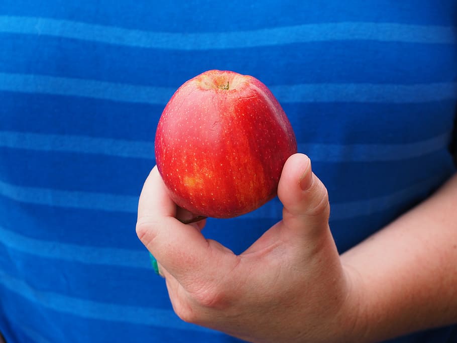 apple, fruit, red, delicious, hand, keep, present, human hand HD wallpaper