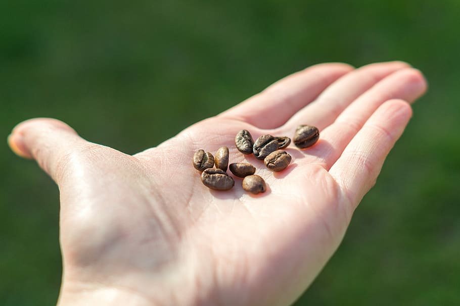 grain, coffee, drink, hand, cup, background, woman, female HD wallpaper