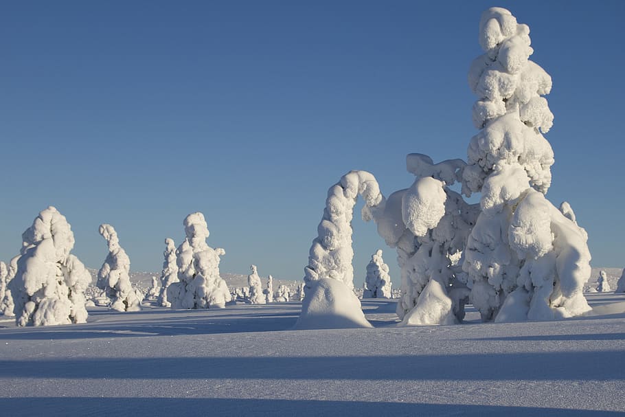 white ice formation taken daytime, lapland, winter, snow, landscape HD wallpaper