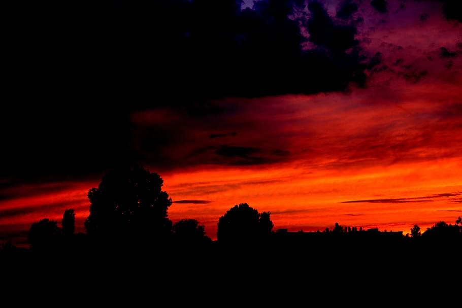 sunset, cloud, night, storm, sky, tree, silhouette, cloud - sky HD wallpaper