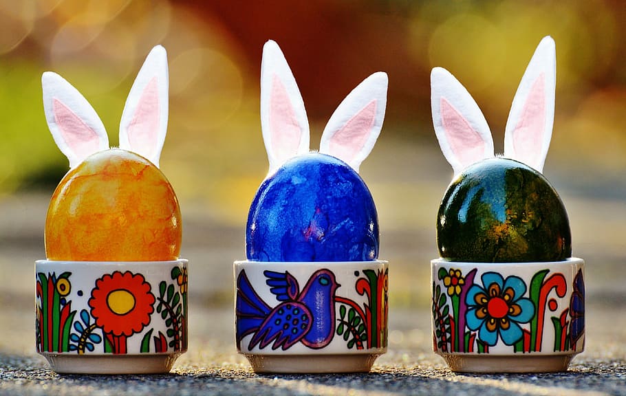 easter, easter eggs, funny, hare, rabbit ears, colorful, happy easter HD wallpaper