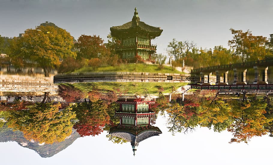 red and green temple near body of water, facing garden, gyeongbok palace, HD wallpaper