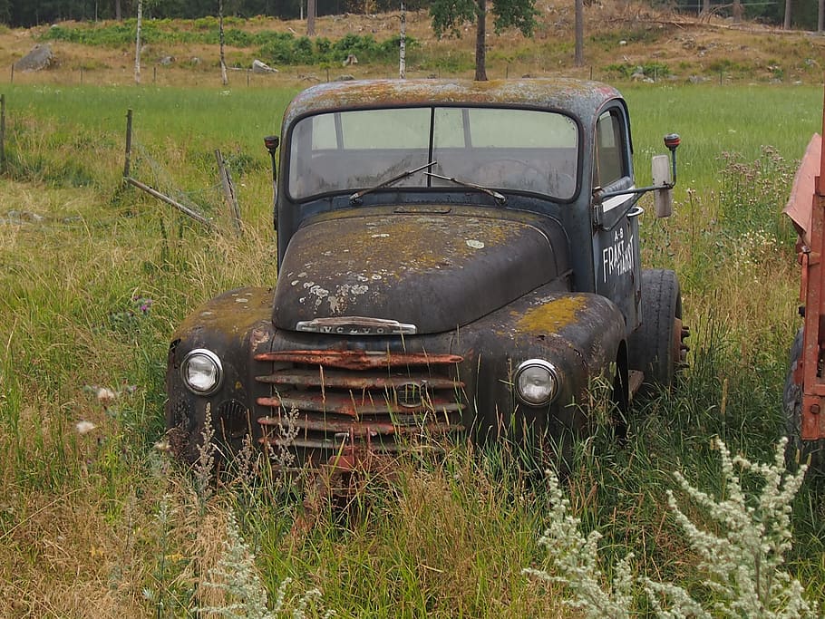 old car, volvo, abandoned, rusty, scrap, summer, swedish, field, HD wallpaper