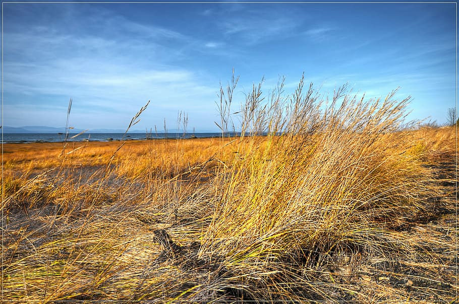 River, Cloud, Sea, Yellow, sky, landscape, cloudy sky, nature HD wallpaper