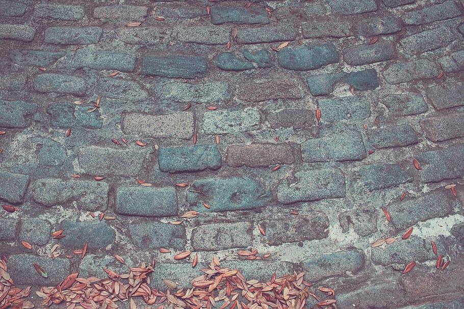 bricks, wall, leaves, dried, full frame, backgrounds, street HD wallpaper