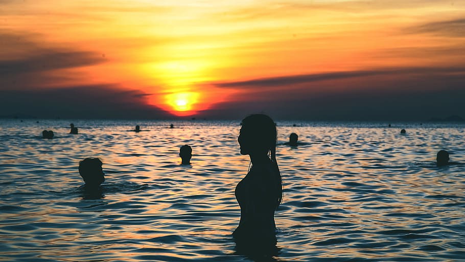 Silhouette Photography of People Swimming on the Beach during Golden Hour HD wallpaper