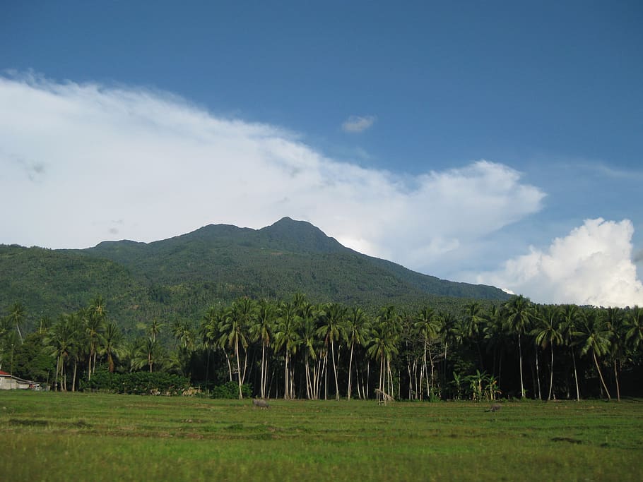camiguin, philippines, countryside, plant, sky, scenics - nature HD wallpaper